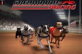 Greyhound Racing